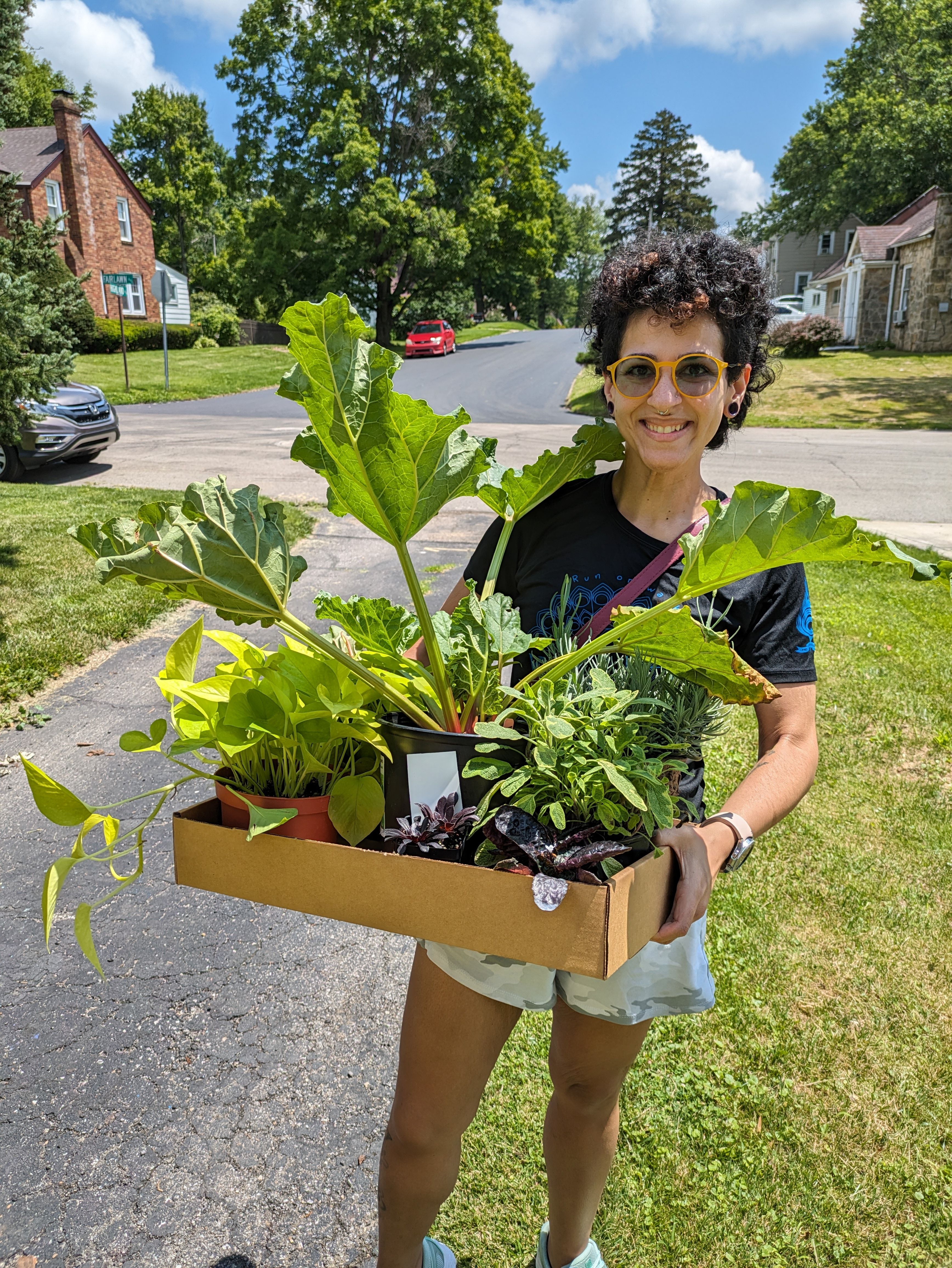 About The Potting Wagon